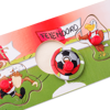 Picture of Feyenoord Houten Puzzel